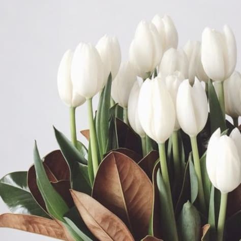 Spring Reset - Premium at Align Massage Therapy in Roscoe, IL